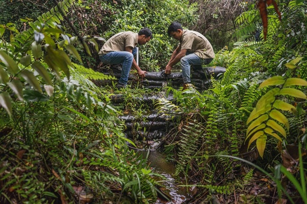 Jalan Berkilo-kilo Demi Menjaga Keberlanjutan Hutan